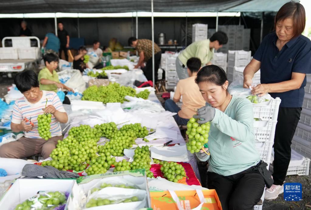 全民梭哈下载